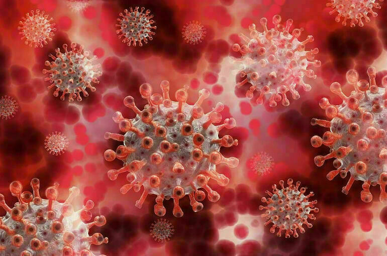 В мире за сутки выявлено почти 670 тысяч новых случаев коронавируса