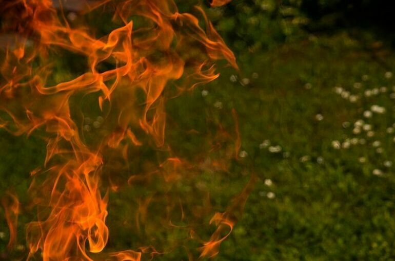 В Марий Эл ввели режим ЧС из-за лесных пожаров 