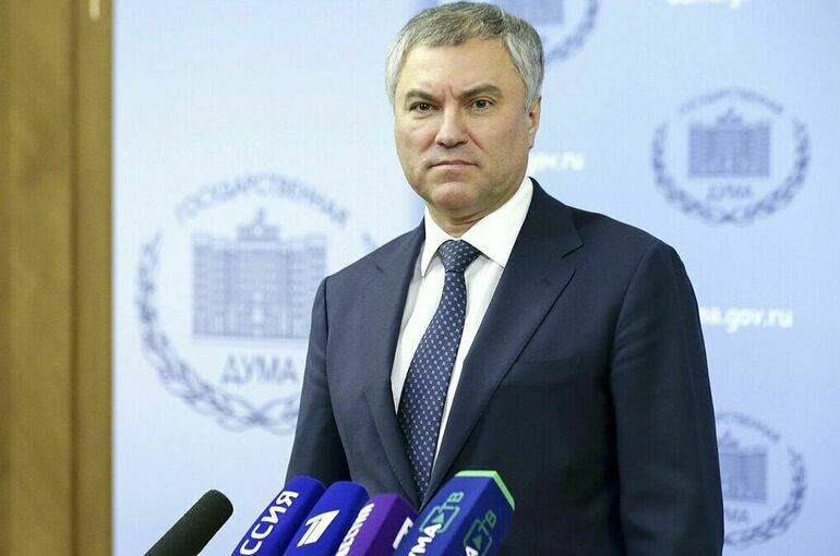 Володин: заявления Киева в отношении Поклонской подтверждают, что Украина не готова стать демократическим государством