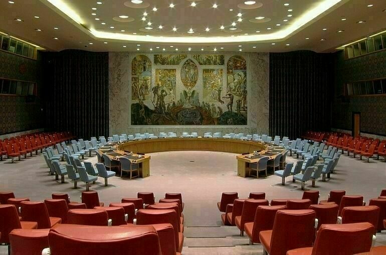 Совбез ООН принял резолюцию о беспрепятственном выезде из Афганистана