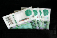 Ущерб пострадавших вкладчиков Finiko оценивается в более 250 миллионов рублей