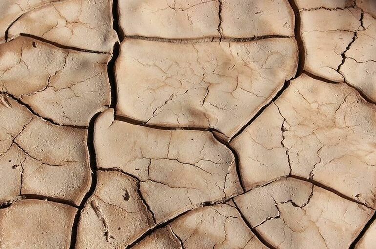 В Чувашии ввели режим ЧС из-за гибели посевов после засухи