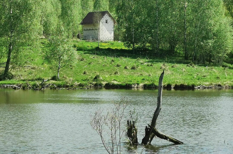 На развитие села необходим 1 триллион рублей из бюджета, считает Кашин