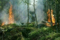 В Иркутской области ликвидировали все лесные пожары