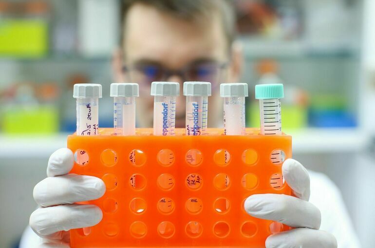 Попова: ПЦР-тест на вирус Нипах будет готов на следующей неделе