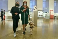В АТОР призвали учесть интересы бизнеса при планировании маршрутов для инвалидов
