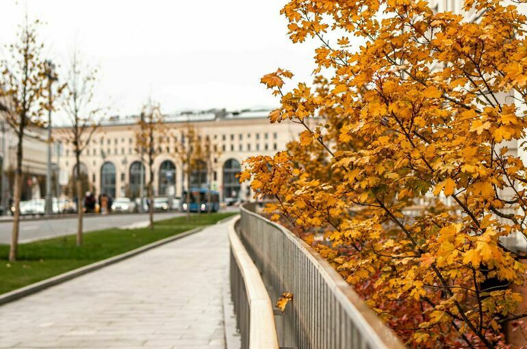 Синоптик оценил вероятность прихода бабьего лета в Москву