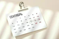В Госдуме напомнили, что грозит за незаконную предвыборную агитацию