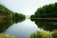 Реку Подгорная в Воронежской области начнут расчищать в 2021 году