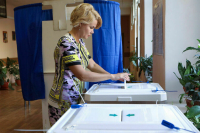Московские наблюдатели попросят сократить число участков для голосования в школах