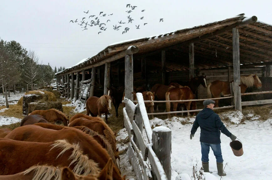 Землям сельхозназначения хотят найти хозяев