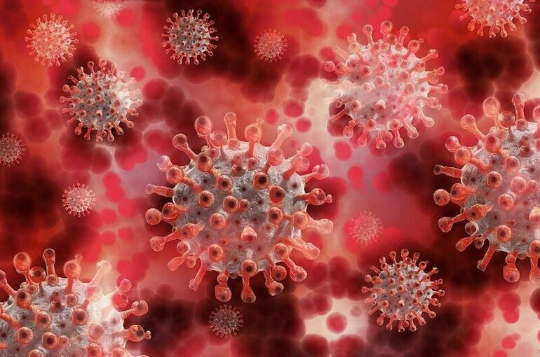 В России от коронавируса за сутки впервые умерли более 920 человек