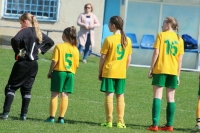В России проведут эксперимент по развитию в школах футбольных секций для девочек