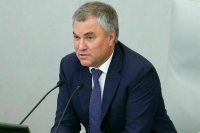 Володин призвал депутатов развивать диалог с гражданским обществом