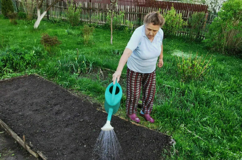 Дачную амнистию хотят продлить до 2031 года