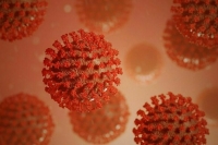 Врачи назвали продолжительность естественного иммунитета от коронавируса