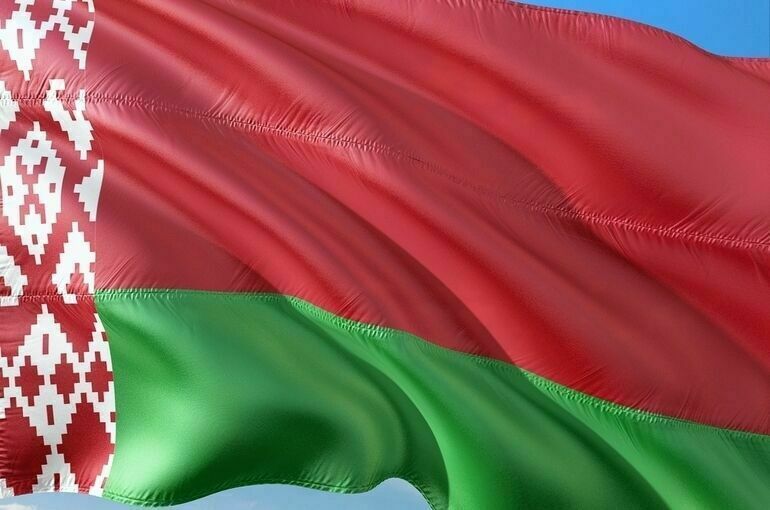 Референдум по обновленной конституции Белоруссии планируется провести в феврале