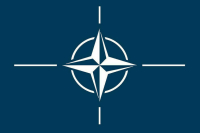 Глава Пентагона призовет Грузию и Украину соответствовать требованиям НАТО
