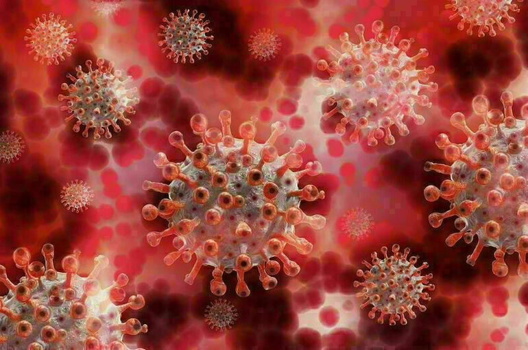Число случаев заражения коронавирусом в мире превысило 240 миллионов