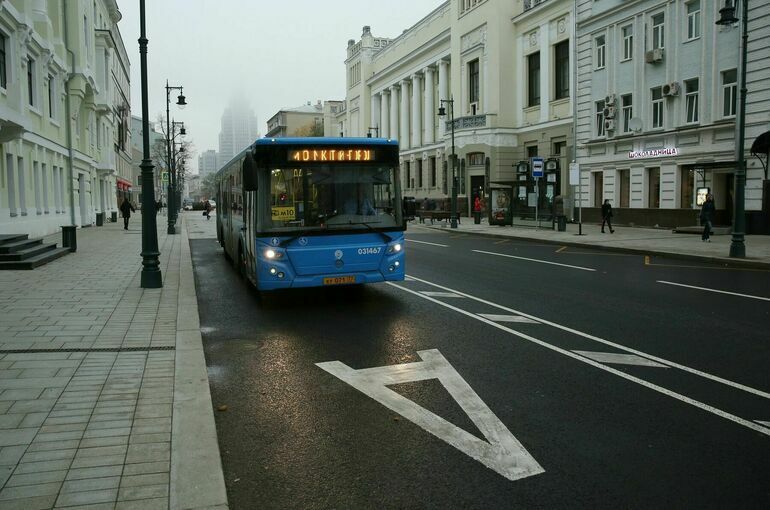 Выделенные полосы для общественного транспорта появятся в Подмосковье
