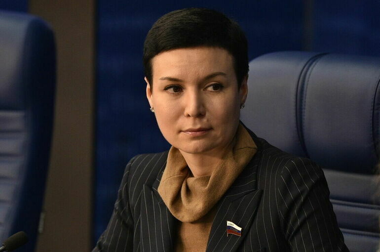 Рукавишникова предложила ввести досудебную блокировку за клевету в Интернете