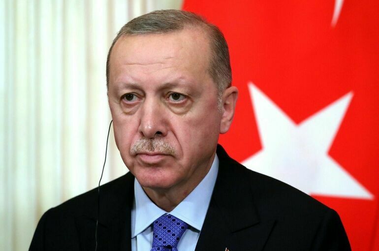 Эрдоган поручил МИД выслать из Турции послов 10 стран 