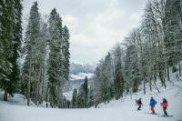 Рынок горнолыжного туризма в России может вырасти в 1,6 раза к 2030 году