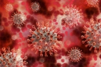 Вирусолог назвала факторы, влияющие на выработку иммунного ответа у человека