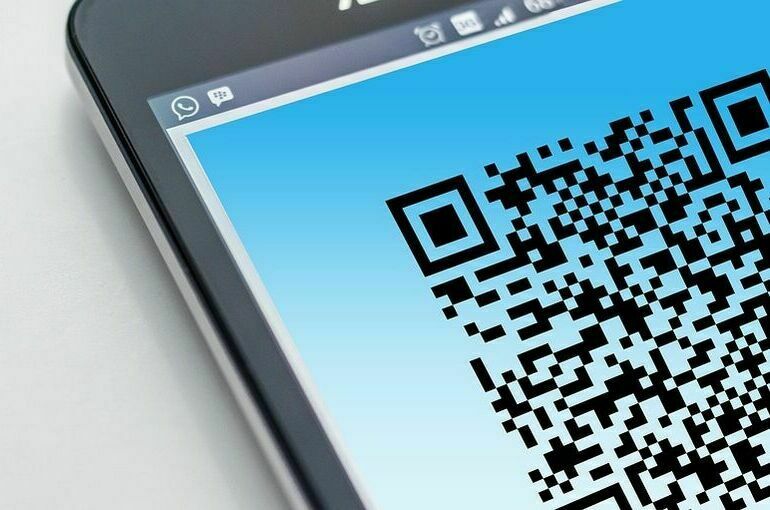 Совет Думы рассмотрит законопроект о QR-кодах 15 ноября