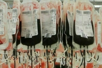 Почти 60 тонн донорской крови заготовили в Подмосковье с начала года