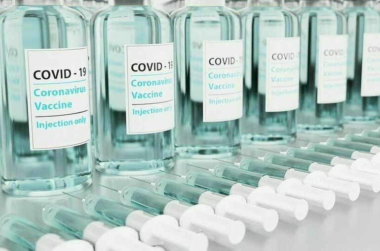 В Австрии оценили вклад республики в борьбу с пандемией коронавируса