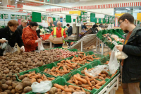 СМИ: Минсельхоз рассматривает вариант закупки картофеля в СНГ из-за роста цен 