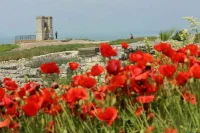 ЮНЕСКО отказалось контактировать с музеем &mdash; заповедником в Крыму
