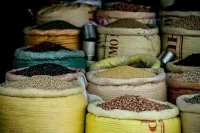 Список сельхозпродукции для ввоза в Россию расширили