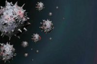 Эксперт: новый штамм COVID-19 вряд ли вызовет пандемию среди привитых