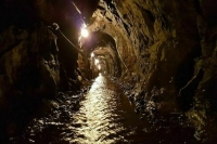Обнаружены тела пятерых погибших в шахте «Листвяжная»