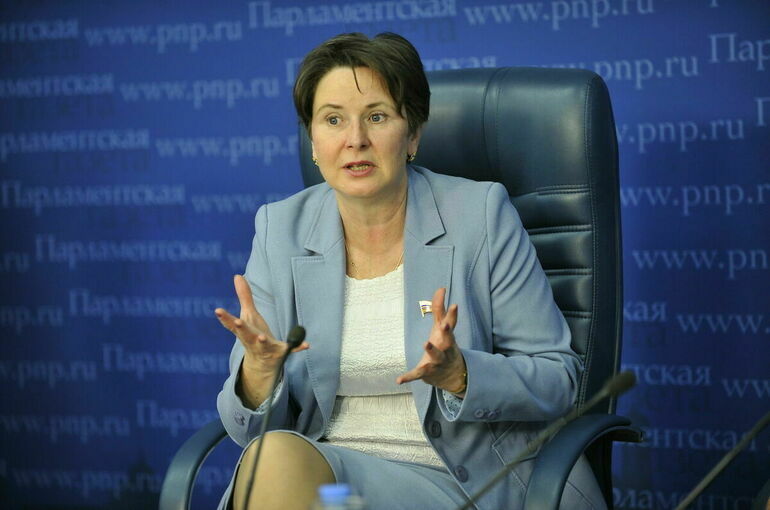 Депутат предложила привлекать к уборке снега должников по ЖКХ