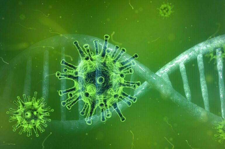 Биолог рассказала, стоит ли опасаться штамма коронавируса «омикрон»