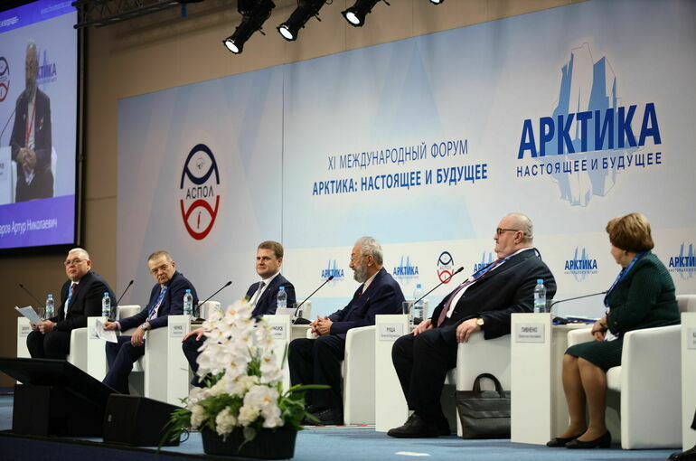В Петербурге представили программу развития Российской Арктики