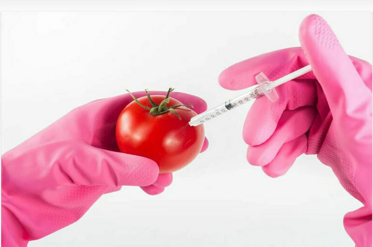 Закон о ГМО ждут серьёзные изменения