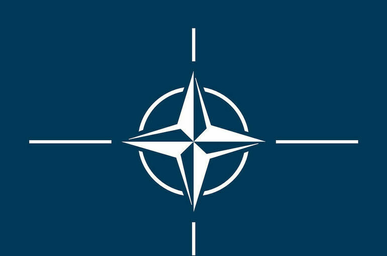 В США назвали условия для вступления Украины и Грузии в НАТО