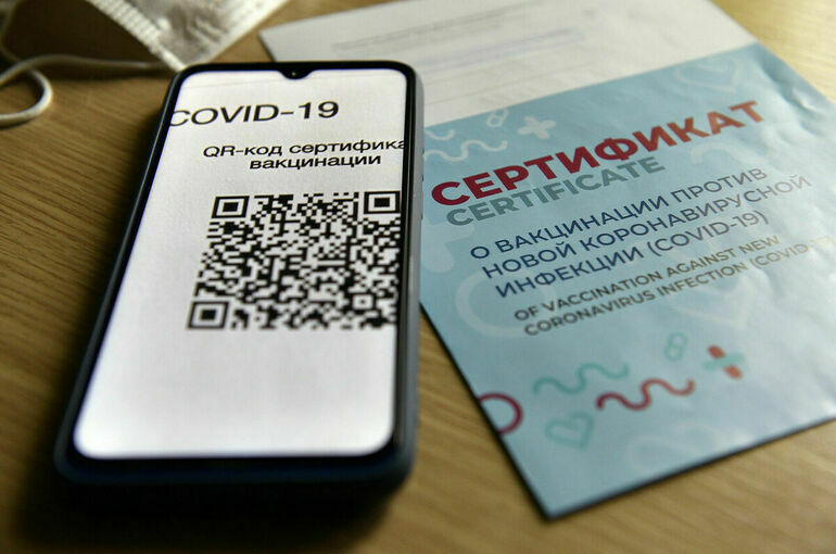 ЛДПР и СРЗП оценили проект о QR-кодах в общественных местах