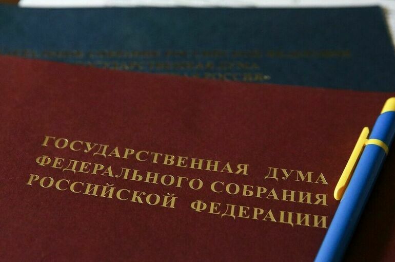 Депутаты Госдумы предложили смягчить наказание за незаконную агитацию