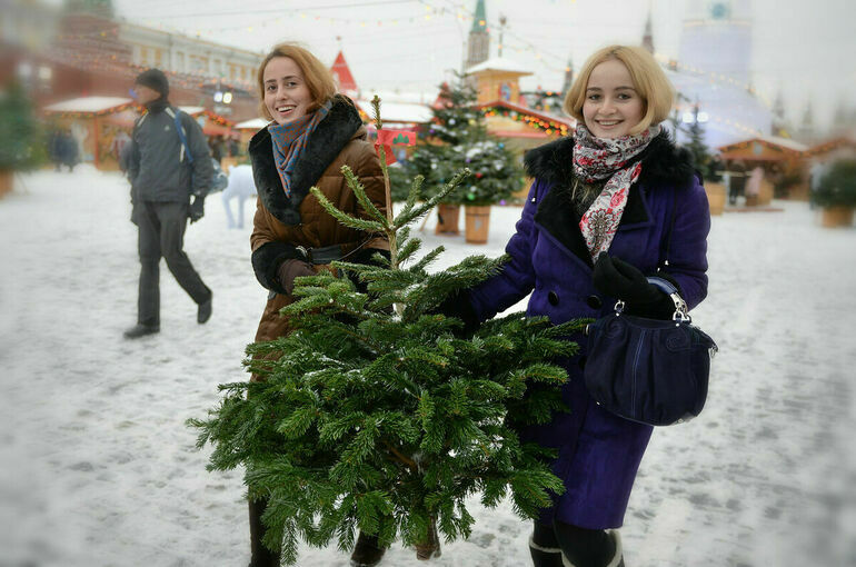 78 процентов молодых россиян намерены встречать Новый год с семьёй