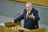 Жириновский предложил включить новогодние каникулы в отпуска граждан  