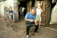 Туристам дадут путёвки в деревню