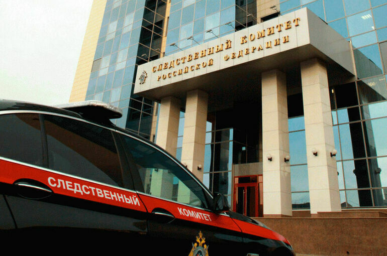 Главе СК доложат о ходе расследования убийства девочки в Костроме