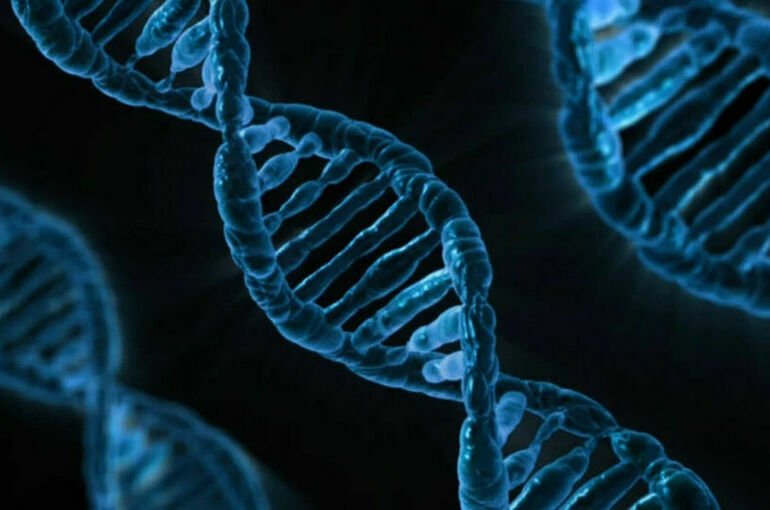 МВД разрабатывает порядок проведения геномной регистрации