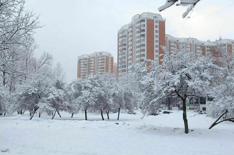 Московские службы готовы к ликвидации последствий снегопада