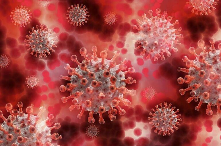 Финские учёные создали молекулу, способную защитить от коронавируса
